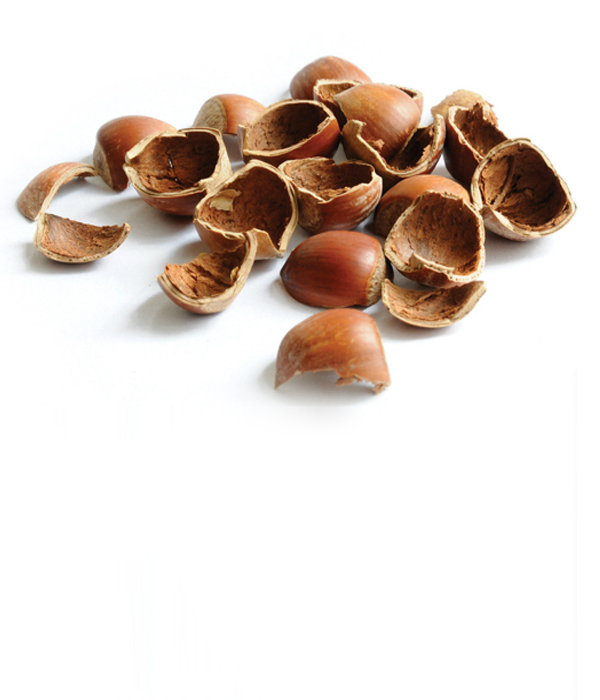Haselnussschalen