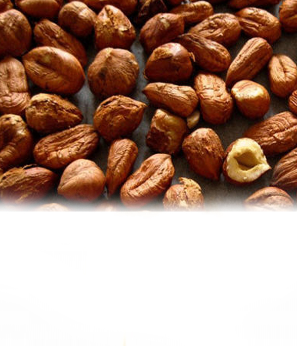 Geschrumpfter Haselnusskern